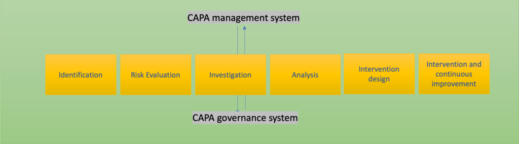 CAPA Culture and systems - a model system