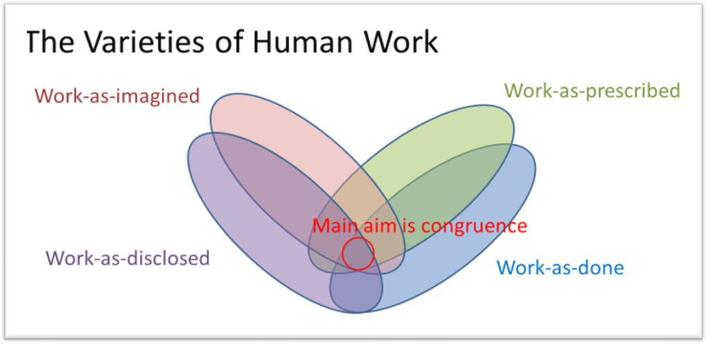 Near Miss Management: Varieties of Human Work